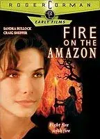 Fire on the Amazon