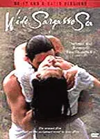 Wide Sargasso Sea