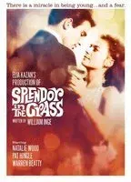 Splendor in the Grass