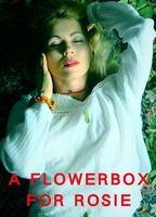 A Flowerbox for Rosie