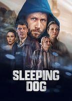 Sleeping Dog