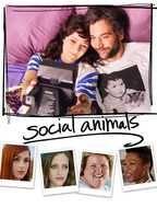 Social Animals