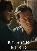 Black Bird