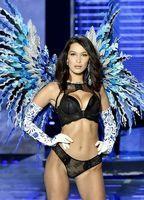 The Victoria's Secret Fashion Show 2018