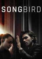 Songbird