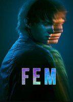 FEM