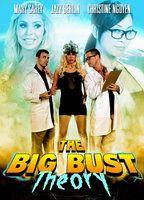 The Big Bust Theory