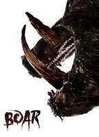 Boar