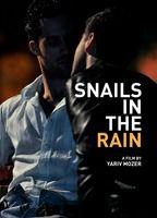 Snails in the Rain