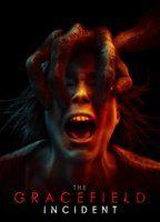The Gracefield Incident