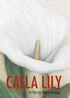 Calla Lily