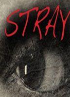Stray