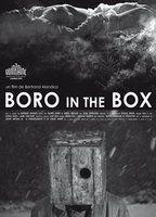 Boro in the Box