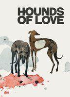 Hounds of Love