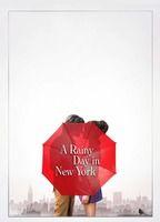 A Rainy Day in New York
