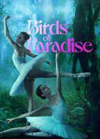 Birds of Paradise