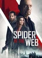 Spider in the Web
