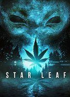 Star Leaf