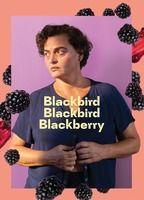 Blackbird Blackbird Blackberry