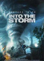 Into the Storm