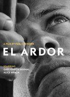 Ardor