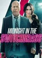 Midnight in the Switchgrass