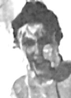 Carolee Schneemann