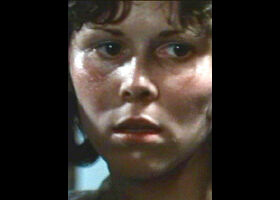 Donna Young