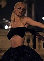 Stef van der Laan