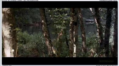 BackWoods scene 2