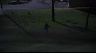 The Whole Nine Yards scene 7