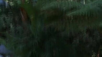 Darksome Tie Nights scene 4