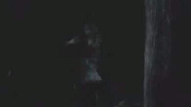 Diary of the Dead scene 2