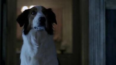 True Blood scene 5