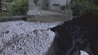 Cemetery Man scene 4