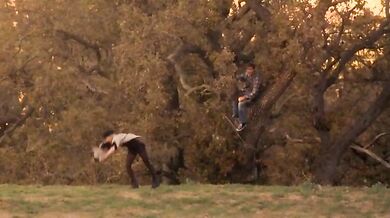 Pie in the Sky scene 3