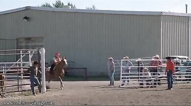 Brokeback Mountain scene 3