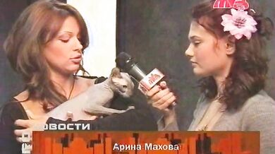 Unknown Show or Episode scene 34