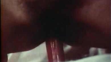 Mille et une perversions de Felicia, Les