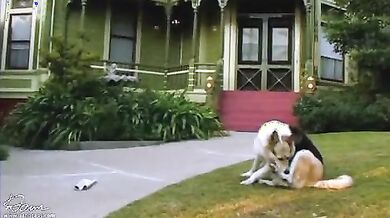 Forgiving the Franklins scene 4
