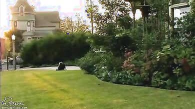 Forgiving the Franklins scene 4