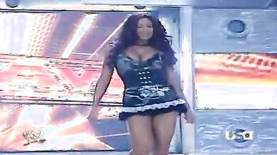 WWE Wrestling Videos scene 8