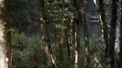 Bosque de sombras