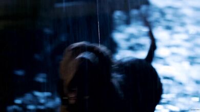 in Killer Joe 