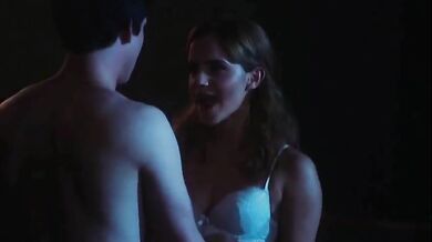The Perks of Being a Wallflower (2012)