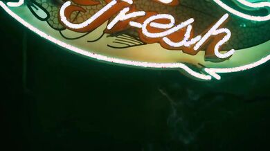 Neon Flesh (2010)