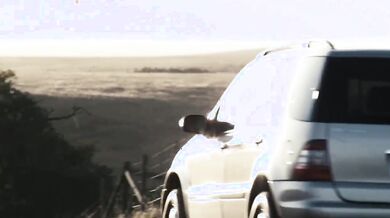 Flying Lessons (2010)
