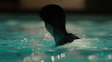 Hello I Must Be Going (2012)
