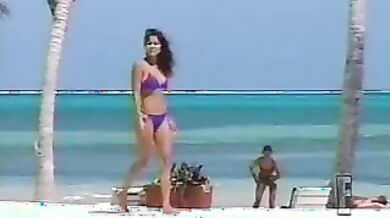 Wild on the Islands