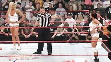 WWE Divas: Wet And Wild